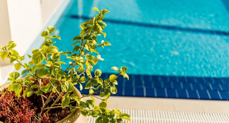 Kıbrıs Girne Satılık 1+1 Yüzme Havuzlu Site İçinde