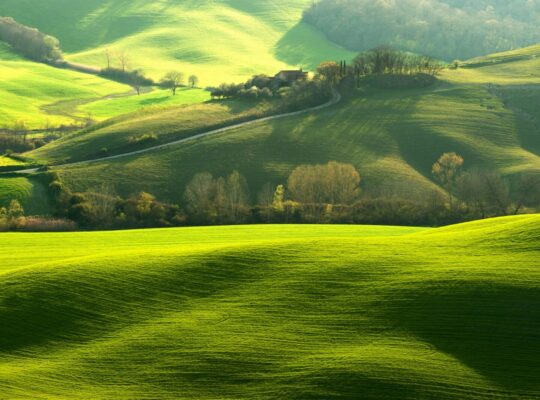 Miras Kalan Arazi Nasıl Satılır?