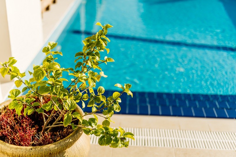 Kıbrıs Girne Satılık 1+1 Yüzme Havuzlu Site İçinde