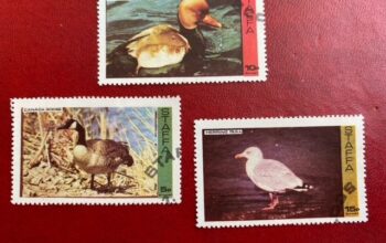 Staffa Adası İskoçya Kuş serisi pullar