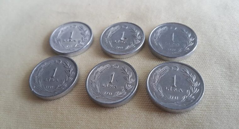 1981 Yılı 6 Adet Alüminyum Çil 1 Lira